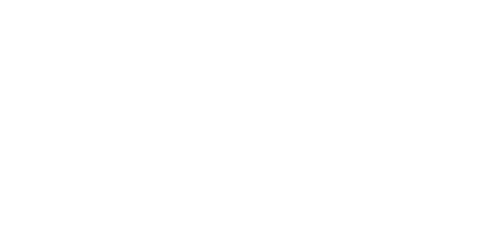 Q&A